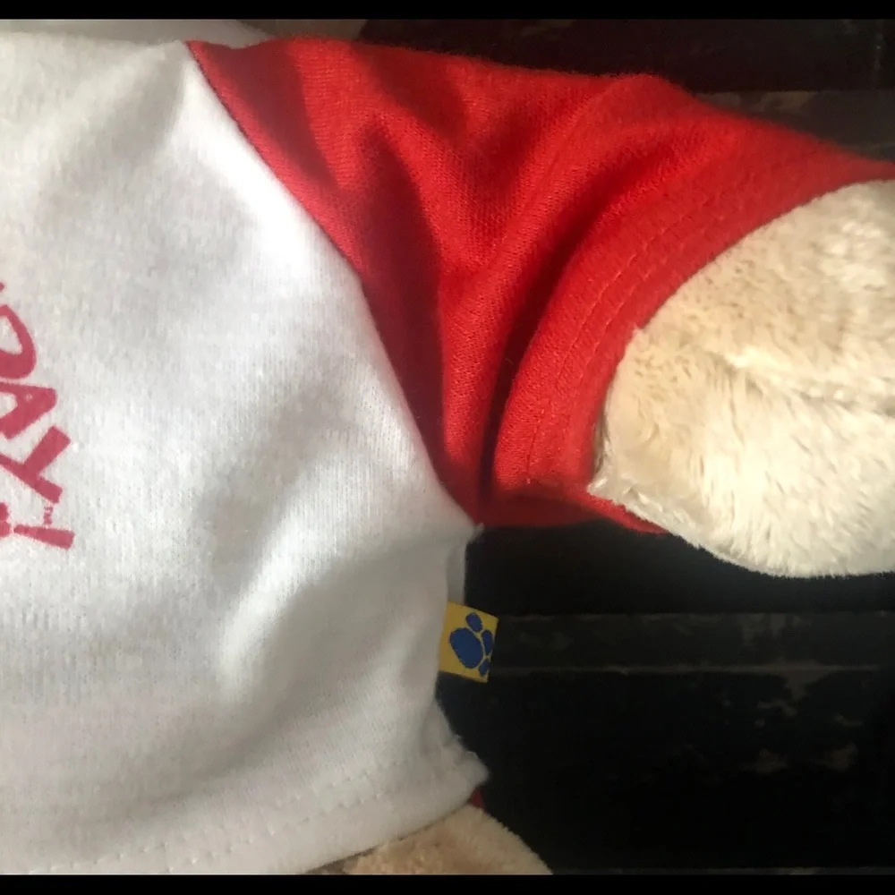 BUILD A BEAR Happy Bearthday Singing Teddy Bear